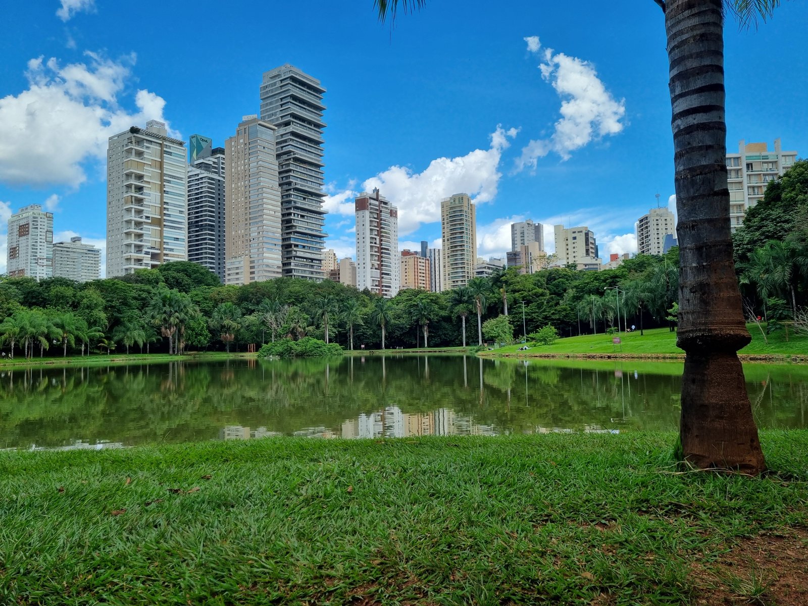 Parque Vaca Brava, no setor Bueno em Goiânia, com gramado, lago e prédios ao fundo